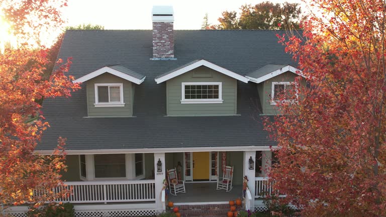 Best Chimney Flashing Repair  in Waimanalo Beach, HI